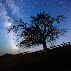 Astrofotografia iPhonem: Jak uchwycić gwiazdy i nocne niebo?