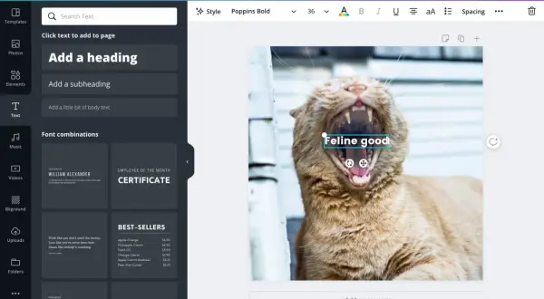 Jak napisać tekst na zdjęciu w telefonie? Dodaj nagłówek "Feline good" do zdjęcia ziewającego kota w edytorze graficznym.