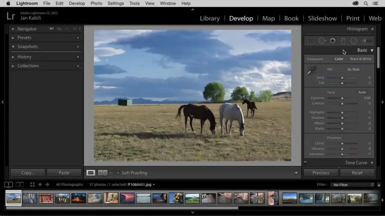 Edycja zdjęć w Lightroom, jak to działa? Widok koni na łące z panelami edycji po prawej.